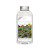 ATI Nutrition P 500 ml