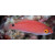 Cirrhilabrus lubbocki - Lubbocks wrasse female