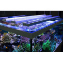aquaLEDs aquaBAR150 Gen4 Meerwasser