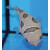 Diodon holocanthus - Long-spine porcupinefish small