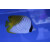 Chaetodon auriga -Threadfin butterflyfish