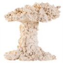 ARKA reef mushroom 20cm