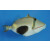 Rhinecanthus verrucosus - Blackbelly triggerfish