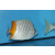 Chaetodon xanthurus - Gitter-Orangenfalterfisch
