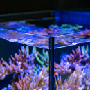 Red Sea MAX&reg; NANO Peninsula without cabinet