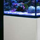 Red Sea MAX® NANO Peninsula - White with cabinet