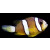 Amphiprion clarkii - Clarks-Anemonenfisch pair