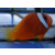 Amphiprion frenatus - Tomato clownfish pair adult