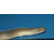 Pseudechidna brummeri - White ribbon eel