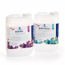 Oceamo DUO starter pack 2 x 5000 ml with 2x taps for easy...