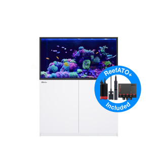 Red Sea REEFER™ G2+ S 550 Complete System - Weiß