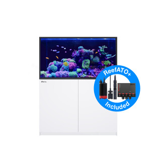 Red Sea REEFER™ G2+ S 550 Complete System - White