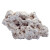 myReef-Rocks natural reef rocks  mix, 20 kg