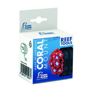 Fauna Marin Coral Mount Ø 4cm