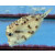 Rhynchostracion nasus - Kleiner Nasen-Kofferfisch M