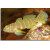 Priolepis cincta - Grundel