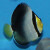 Chaetodontoplus mesoleucus  - Vermiculated angelfish