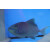 Odonus niger - Redtoothed triggerfish small